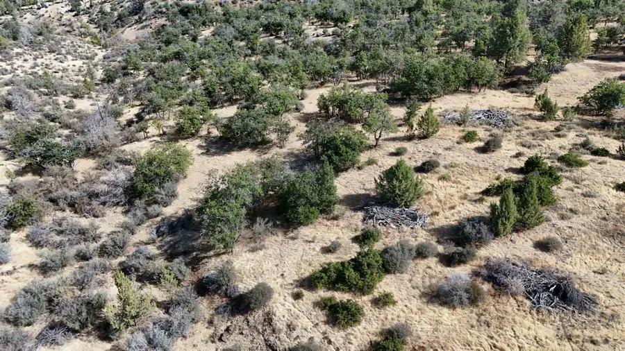 Lot 285 & 286 Cougar St, Mount Shasta, CA 96067 - #2