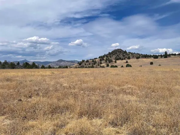 Lot 44 Lake Cove Rd, Hornbrook, CA 96067