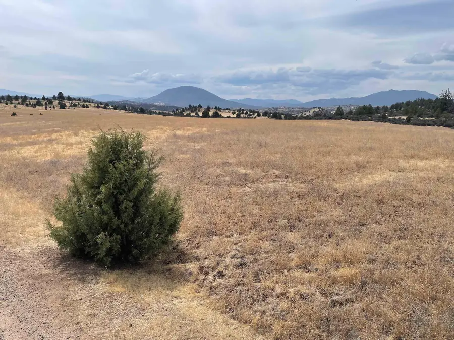 Lot 44 Lake Cove Rd, Hornbrook, CA 96067 - #2