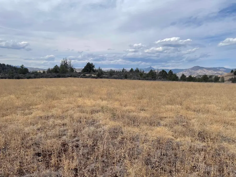 Lot 44 Lake Cove Rd, Hornbrook, CA 96067 - #3