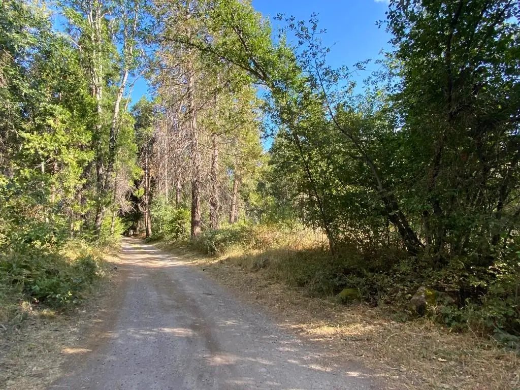Parcel 2 Melo Rd, Mount Shasta, CA 96067 - #1