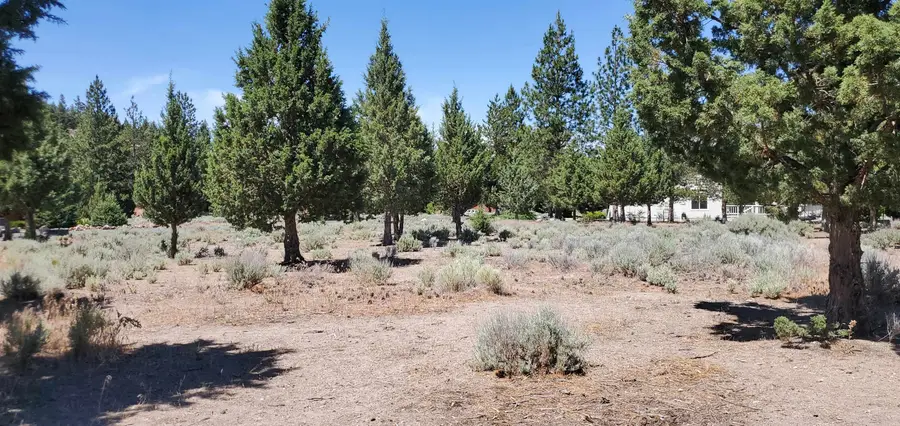 Unit 4 Lot 118 Lake Shore Dr., Weed, CA 96094 - #2