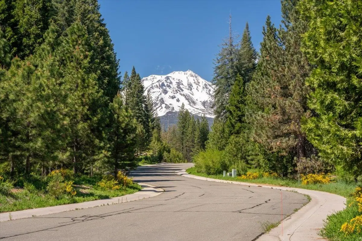 200 Old Mill Drive, McCloud, CA 96057 - #1