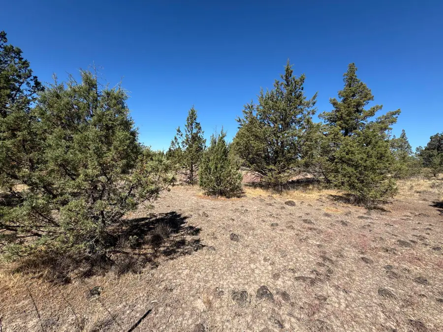 Lot 2 Bunny Lane, Montague, CA 96064 - #2