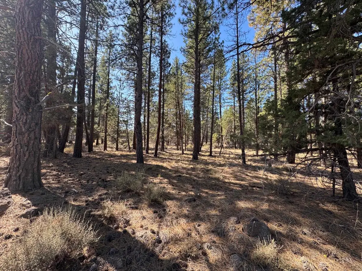 0 Tennant / Mt Hebron Hwy, Macdoel, CA 96058 - #1