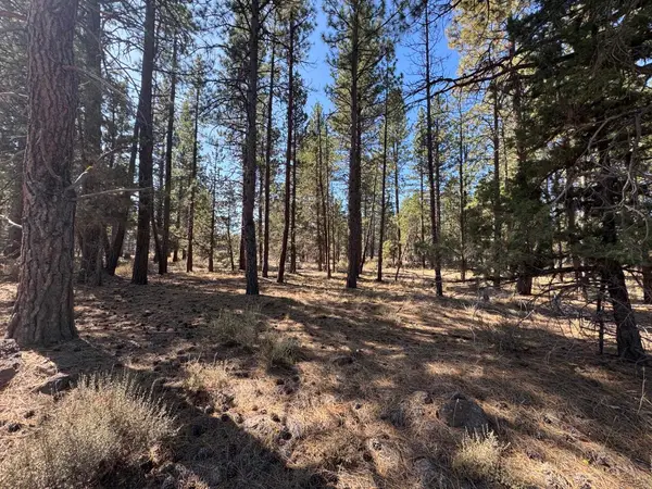 0 Tennant / Mt Hebron Hwy, Macdoel, CA 96058