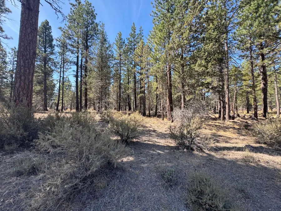 0 Tennant / Mt Hebron Hwy, Macdoel, CA 96058 - #2