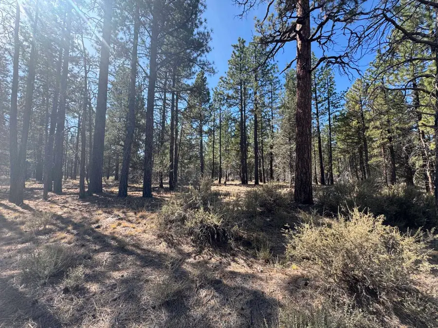 0 Tennant / Mt Hebron Hwy, Macdoel, CA 96058 - #3