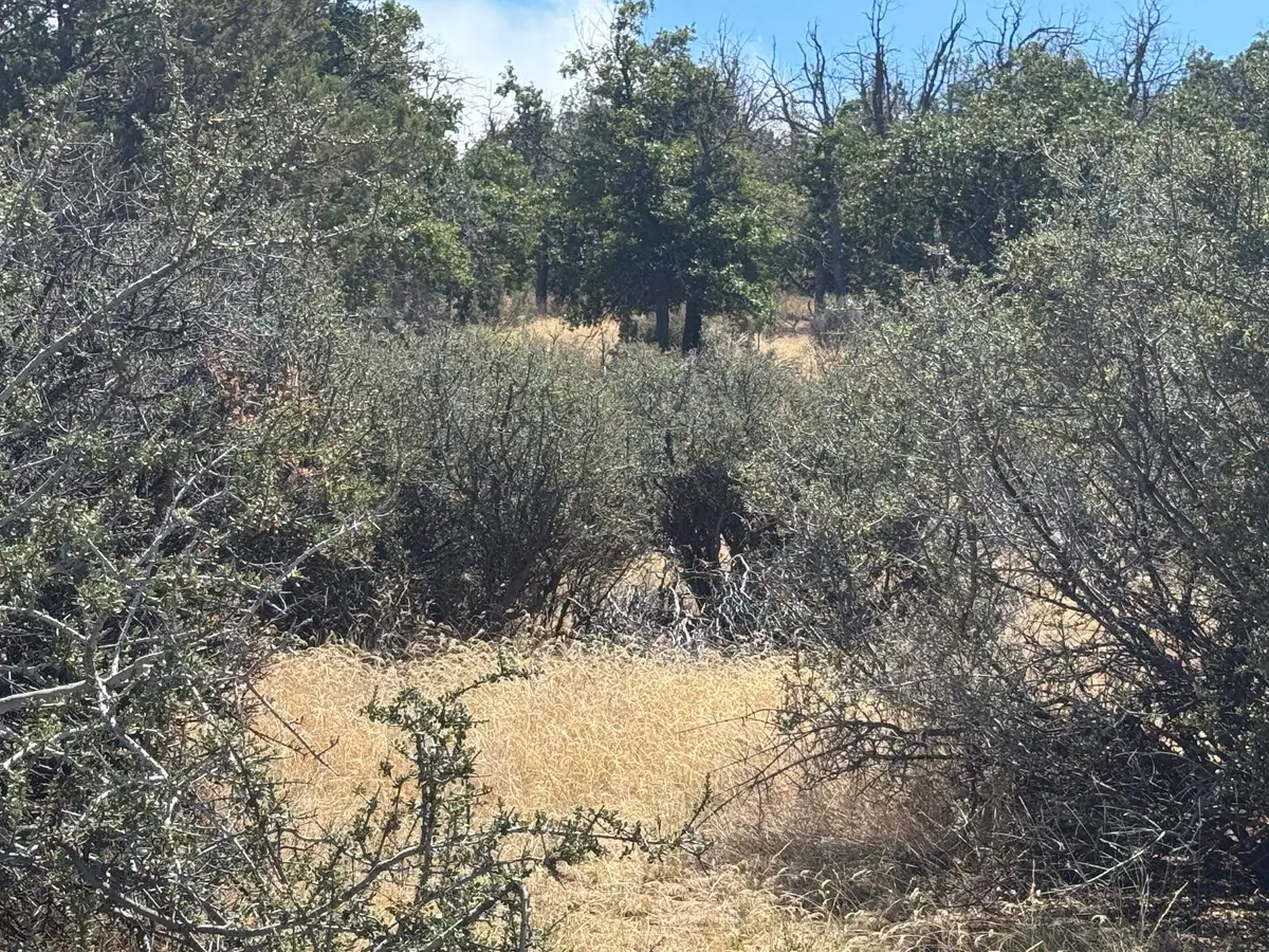 Unit 4 Lot 751 Pigeon St, Hornbrook, CA 96044 - #1