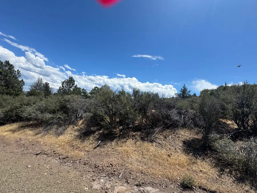Unit 4 Lot 751 Pigeon St, Hornbrook, CA 96044 - #2