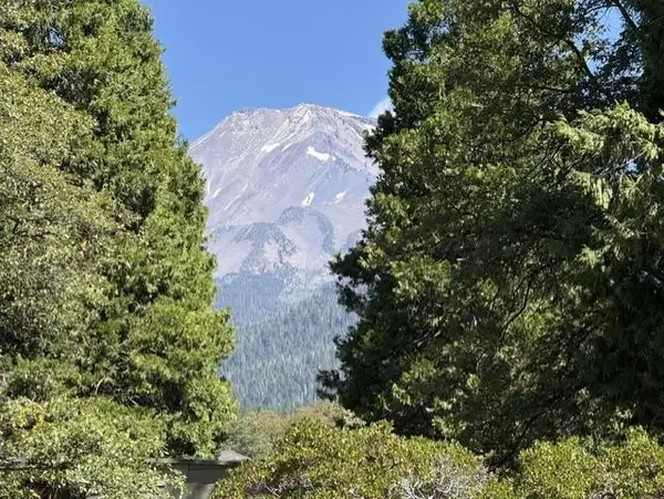 000 Everitt Memorial Hwy, Mount Shasta, CA 96067