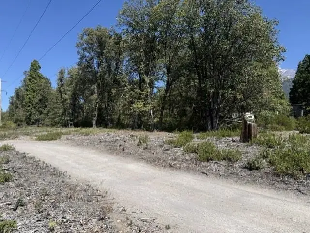 000 Everitt Memorial Hwy, Mount Shasta, CA 96067 - #2