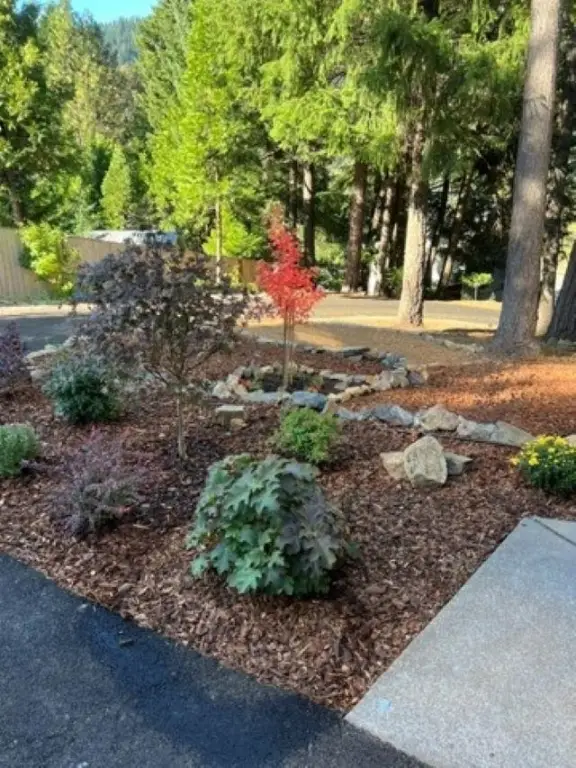 4000 Hope Ln, Dunsmuir, CA 96025 - #3