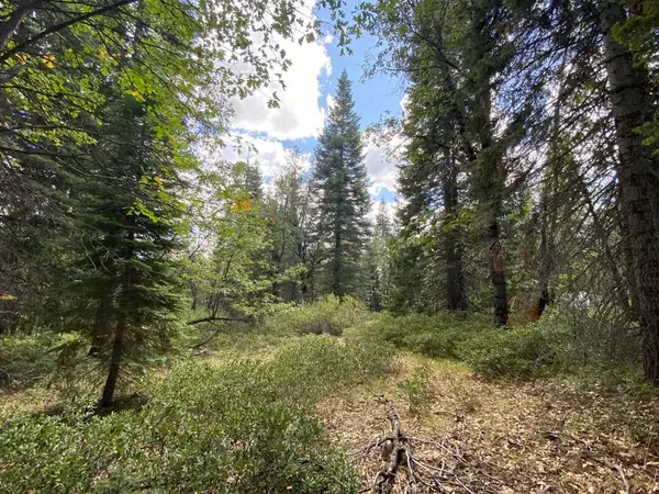1-A-17 Mt Shasta Dr, McCloud, CA 96057