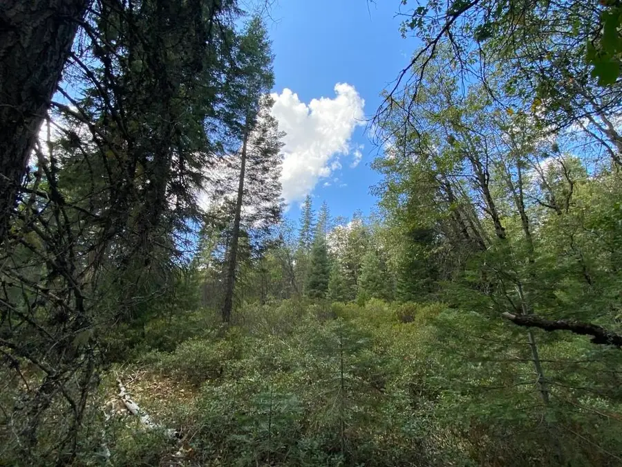 1-A-17 Mt Shasta Dr, McCloud, CA 96057 - #3