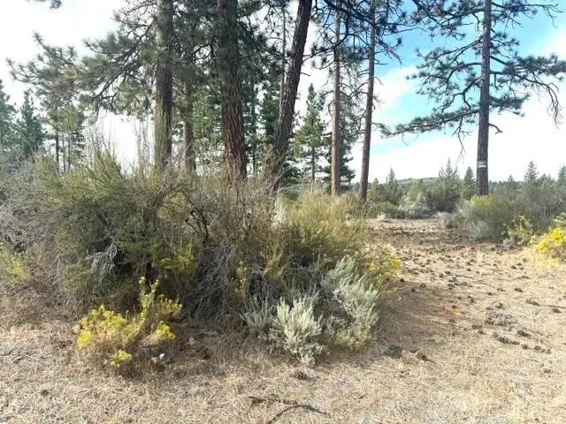 R.S.B. 23-156 A-12, Montague, CA 96067 - #2