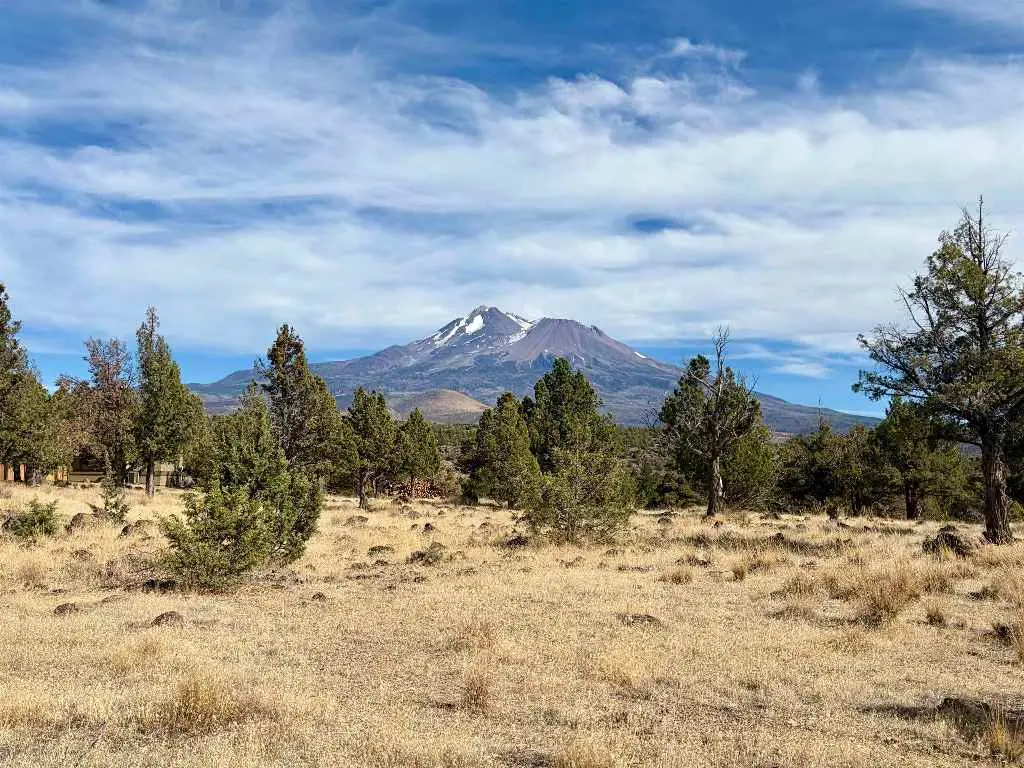 Unit 1 Lot 56 Brook Ln., Weed, CA 96094 - #1