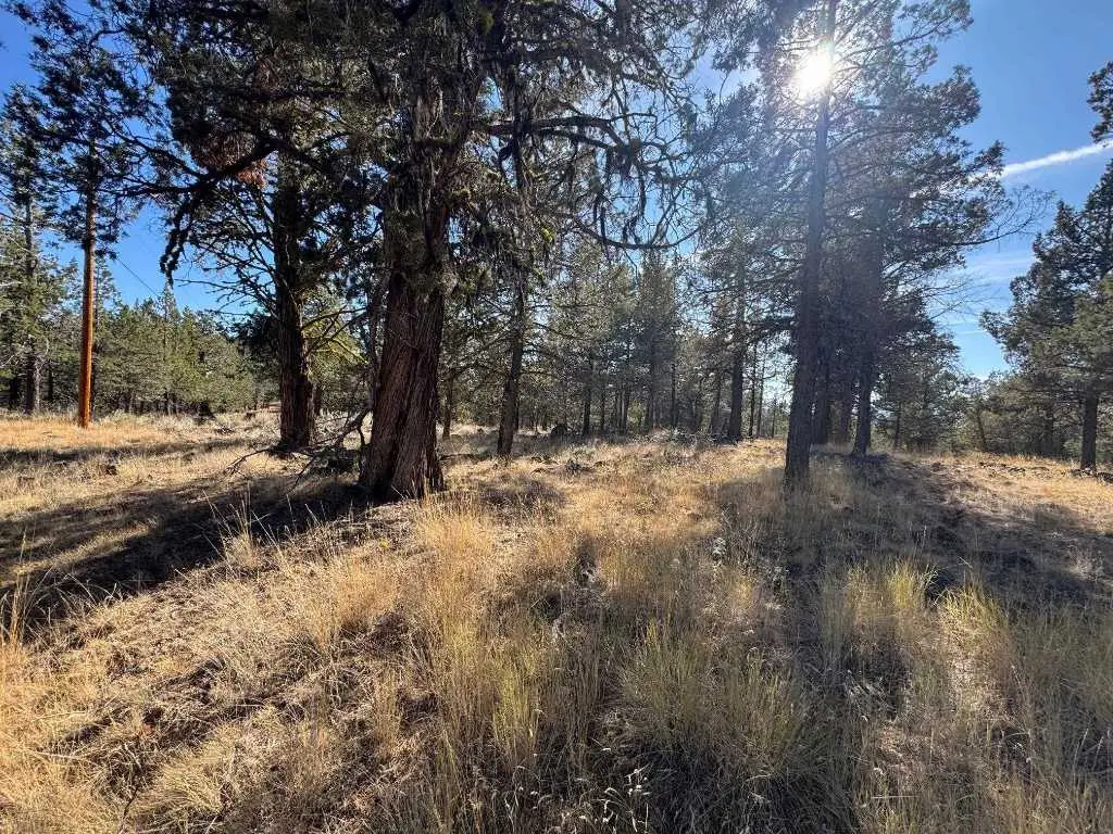 End of Overland Trail, Dorris, CA 96023 - #1