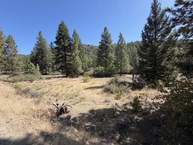 xxxx McAdams Cr Mcadams Creek Rd., Fort Jones, CA 96032 - #3