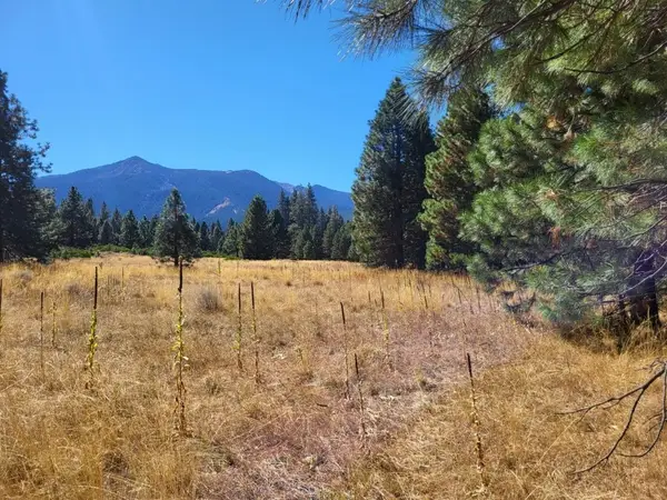 Lot 20 N Old Stage Rd, Weed, CA 96094