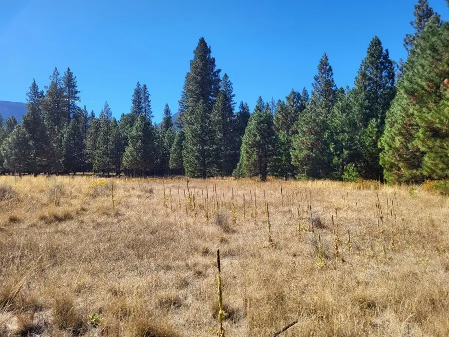 Lot 20 N Old Stage Rd, Weed, CA 96094 - #2