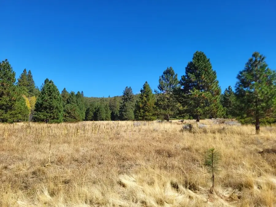 Lot 20 N Old Stage Rd, Weed, CA 96094 - #3