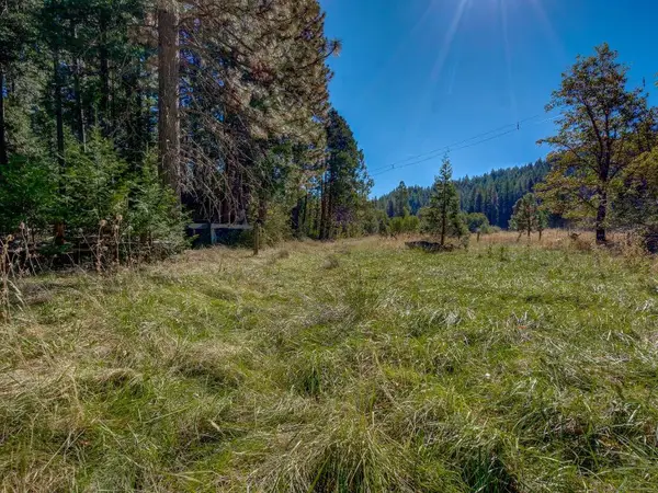 1909 Shasta Ranch Road N, Mount Shasta, CA 96067