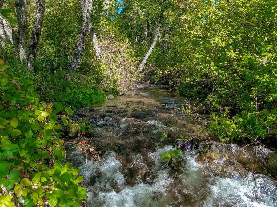 1909 Shasta Ranch Road N, Mount Shasta, CA 96067 - #2