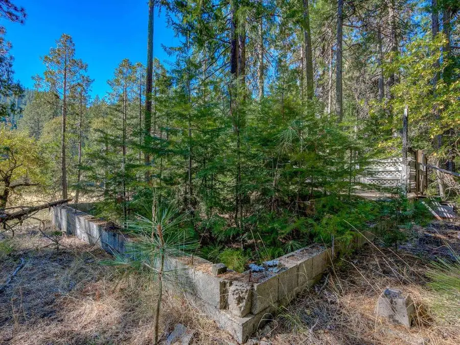 1909 Shasta Ranch Road N, Mount Shasta, CA 96067 - #3