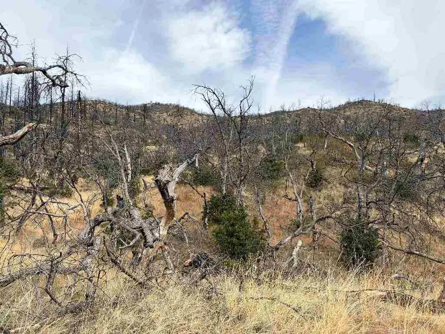 0000 Forest Rt 46n82, Klamath River, CA 96050 - #3