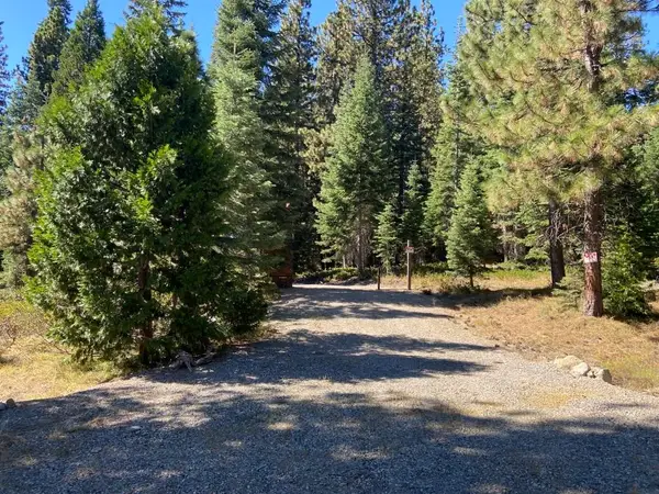 3-C-23 Fumarole Dr, McCloud, CA 96057