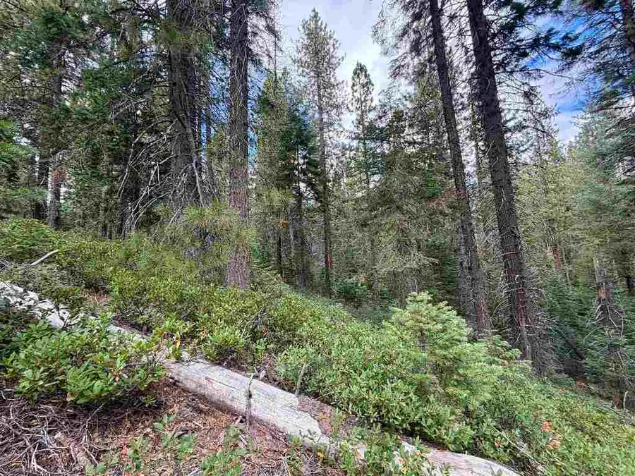Un3 Blk F Lot19 White Fur Ct., McCloud, CA 96057 - #3