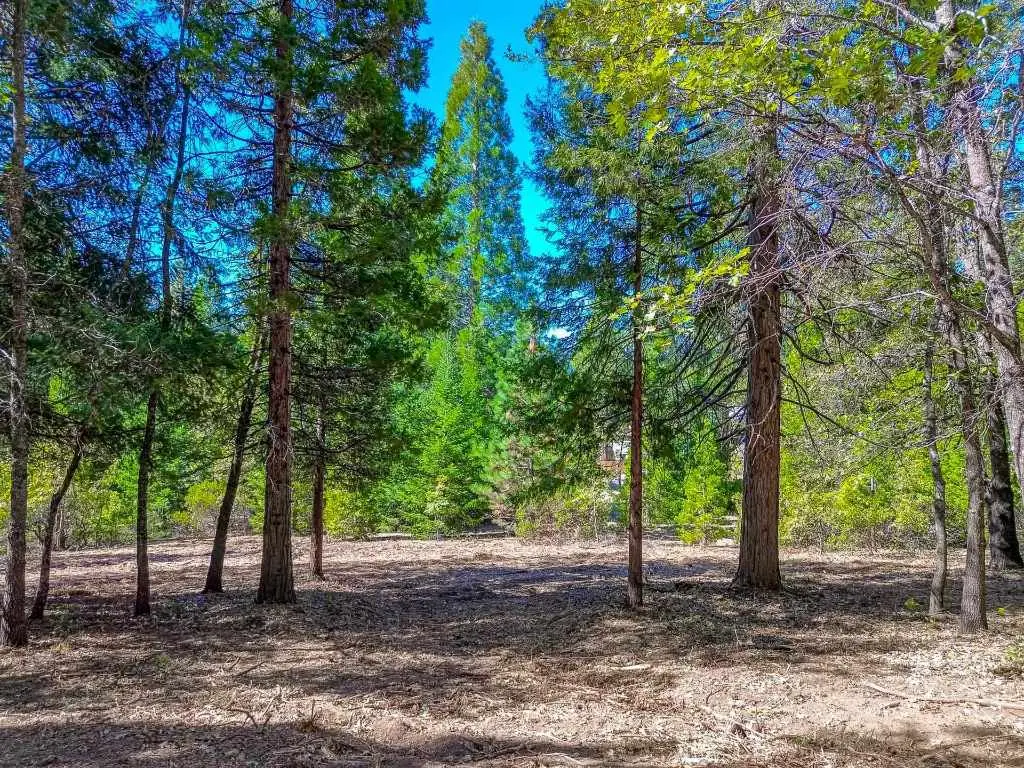 Lot A & B Washington Dr., Mount Shasta, CA 96067 - #1