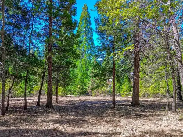 Lot A & B Washington Dr., Mount Shasta, CA 96067