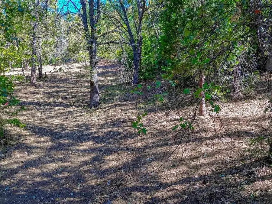 Lot A & B Washington Dr., Mount Shasta, CA 96067 - #2