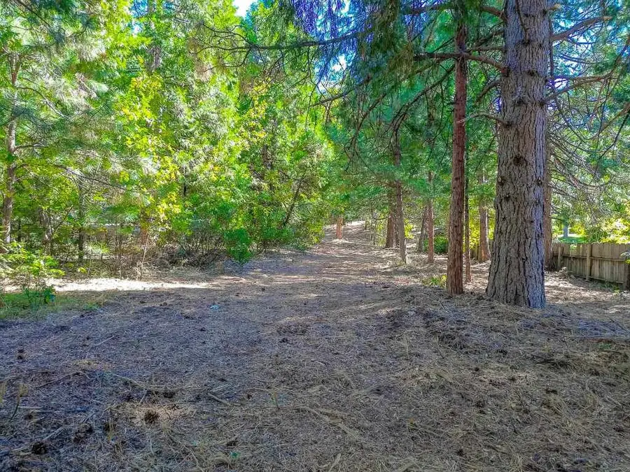 Lot A & B Washington Dr., Mount Shasta, CA 96067 - #3