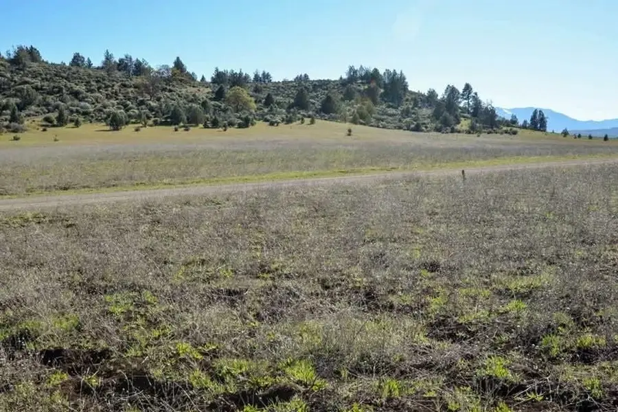Lot 208 Deer Run Rd, Hornbrook, CA 96044 - #2