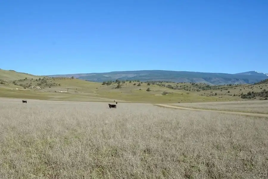 Lot 208 Deer Run Rd, Hornbrook, CA 96044 - #3
