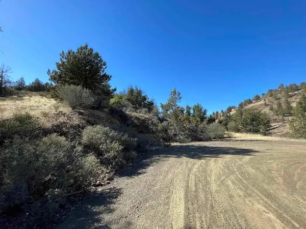 Dragon Dr., Hornbrook, CA 96097