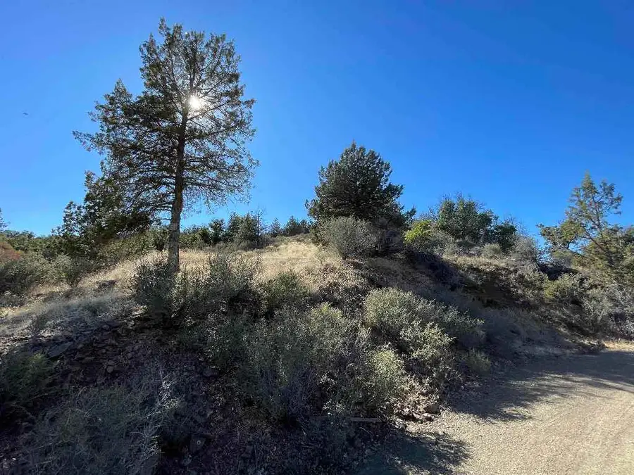 Dragon Dr., Hornbrook, CA 96097 - #2