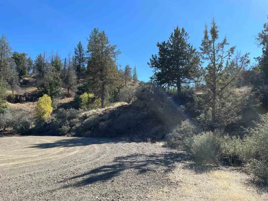 Dragon Dr., Hornbrook, CA 96097 - #3