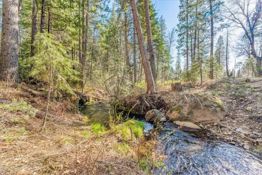 100 Intake Springs Rd, McCloud, CA 96057 - #3