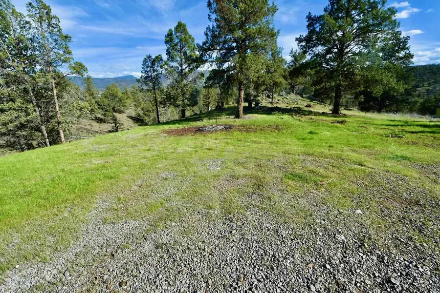 Lot 539 Blue Gill, Hornbrook, CA 96044 - #2