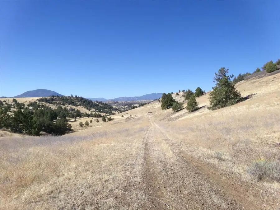 10015 Buck Lane, Hornbrook, CA 96044 - #2