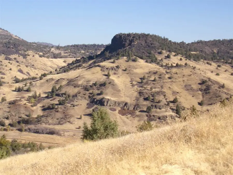 10015 Buck Lane, Hornbrook, CA 96044 - #3