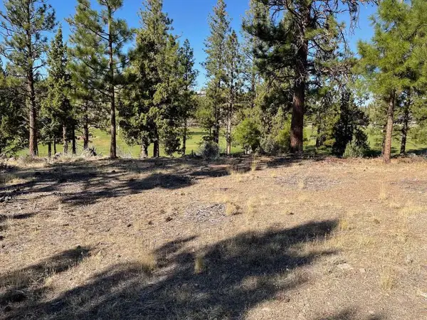 .25 Acre Lake Shore Dr #5-4, Weed, CA 96094