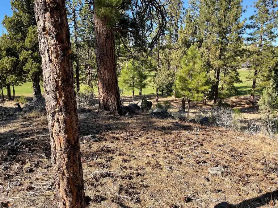 .25 Acre Lake Shore Dr #5-4, Weed, CA 96094 - #2