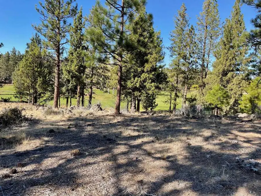 .25 Acre Lake Shore Dr #5-4, Weed, CA 96094 - #3