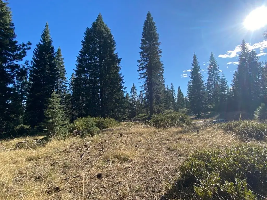 4-H-6 & 7 Ridge Dr #4, McCloud, CA 96057 - #1