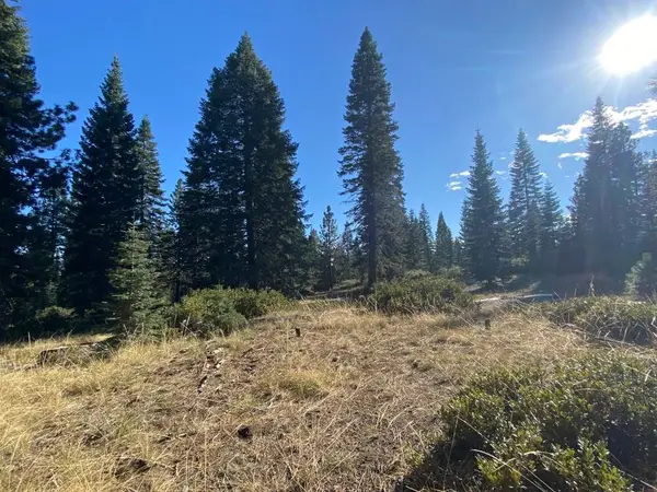 4-H-6 & 7 Ridge Dr #4, McCloud, CA 96057